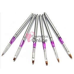 Pensule de unghii set de  6 bucati pentru constructie acril, gel uv si pictura cu capac PNS15